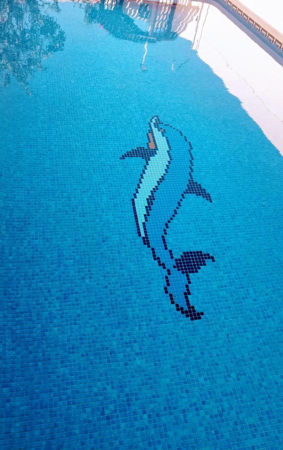 Flamingo Vila Alicante San Pedro del Pinatar Eksteriør bilde