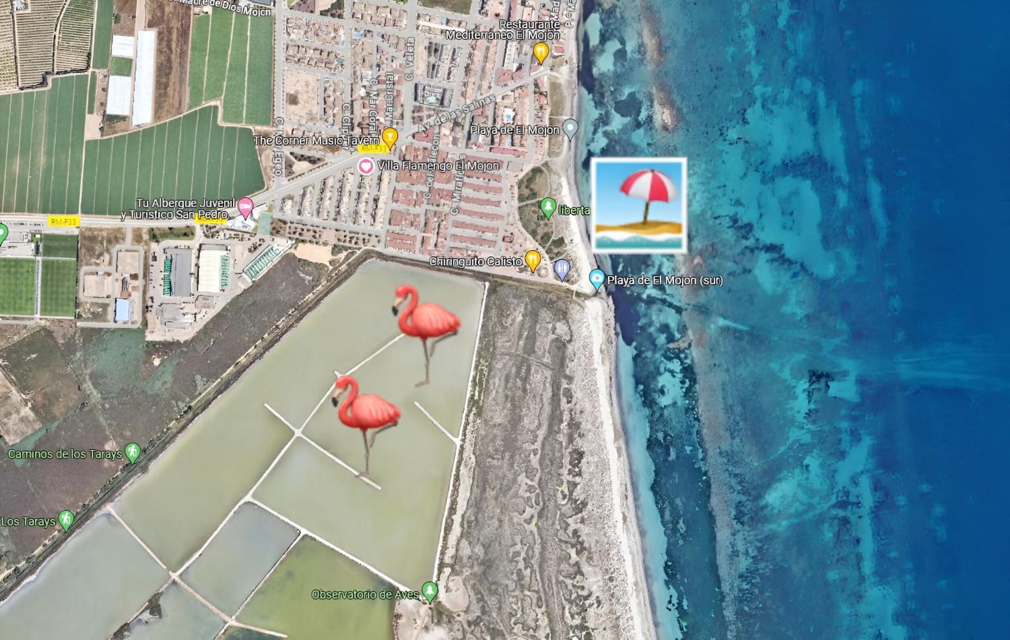 Flamingo Vila Alicante San Pedro del Pinatar Eksteriør bilde