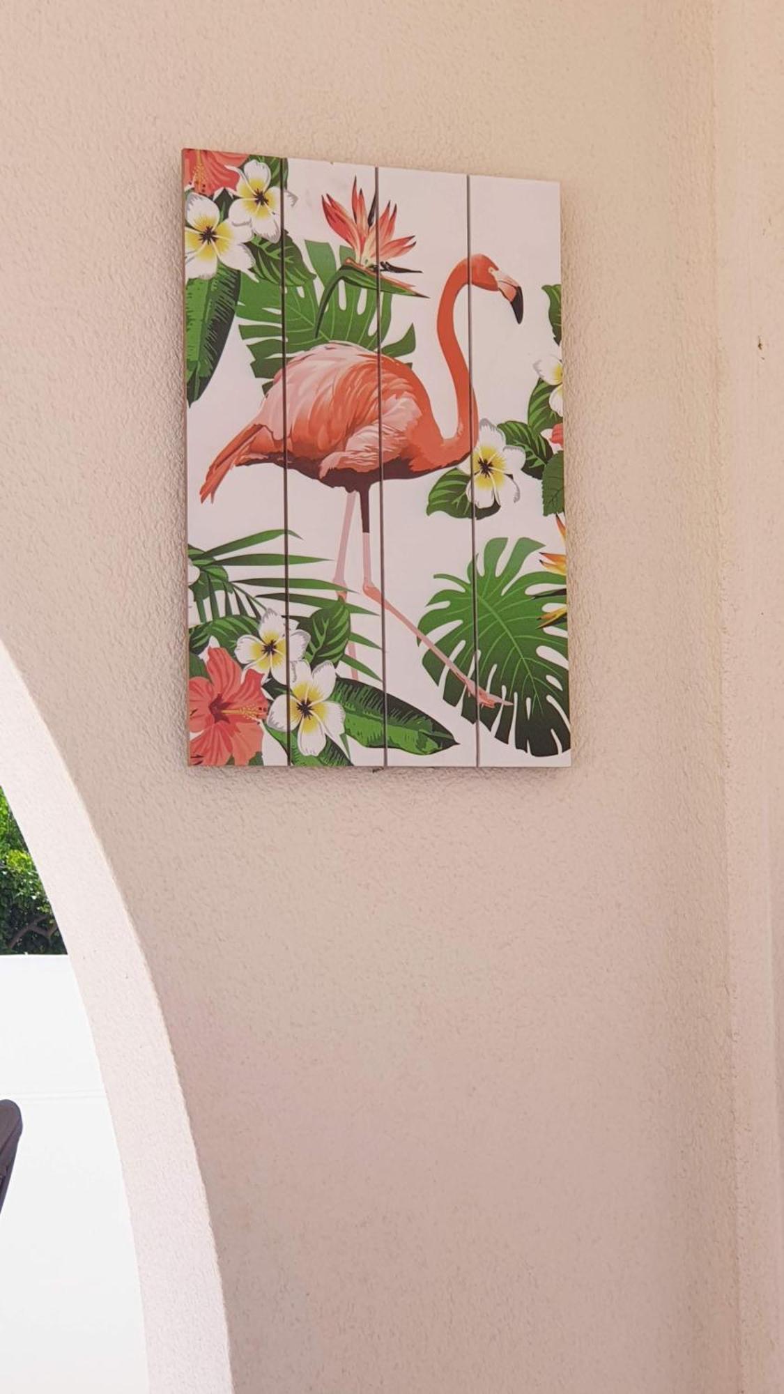 Flamingo Vila Alicante San Pedro del Pinatar Eksteriør bilde